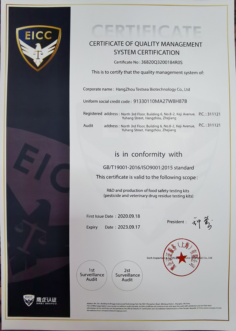 Chithunzi cha ISO9001-EN